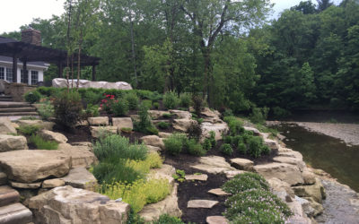 Hardscape vs. Softscape Landscaping: What’s the Difference?